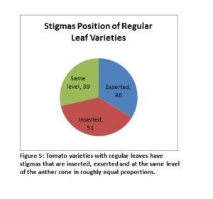 A pie chart of the different stigma positions of regular tomato leaf varieties in the Seed Savers Exchange collection