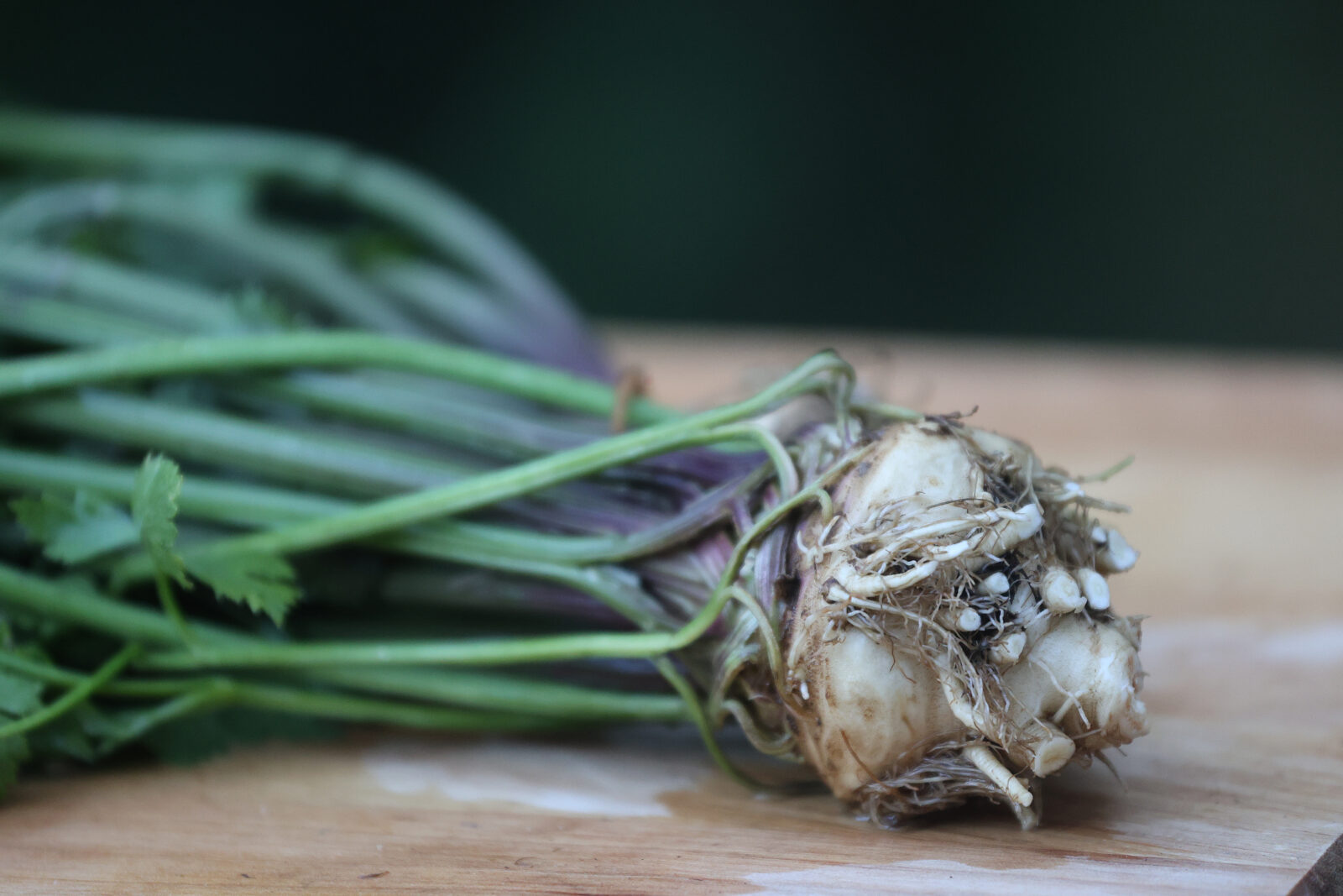 A celeriac plant lies across a cutting board, with a white root and purple and green stems