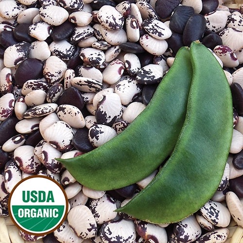 A pile of black and white lima beans with two green pods on top and in the lower left corner a seal that reads, 