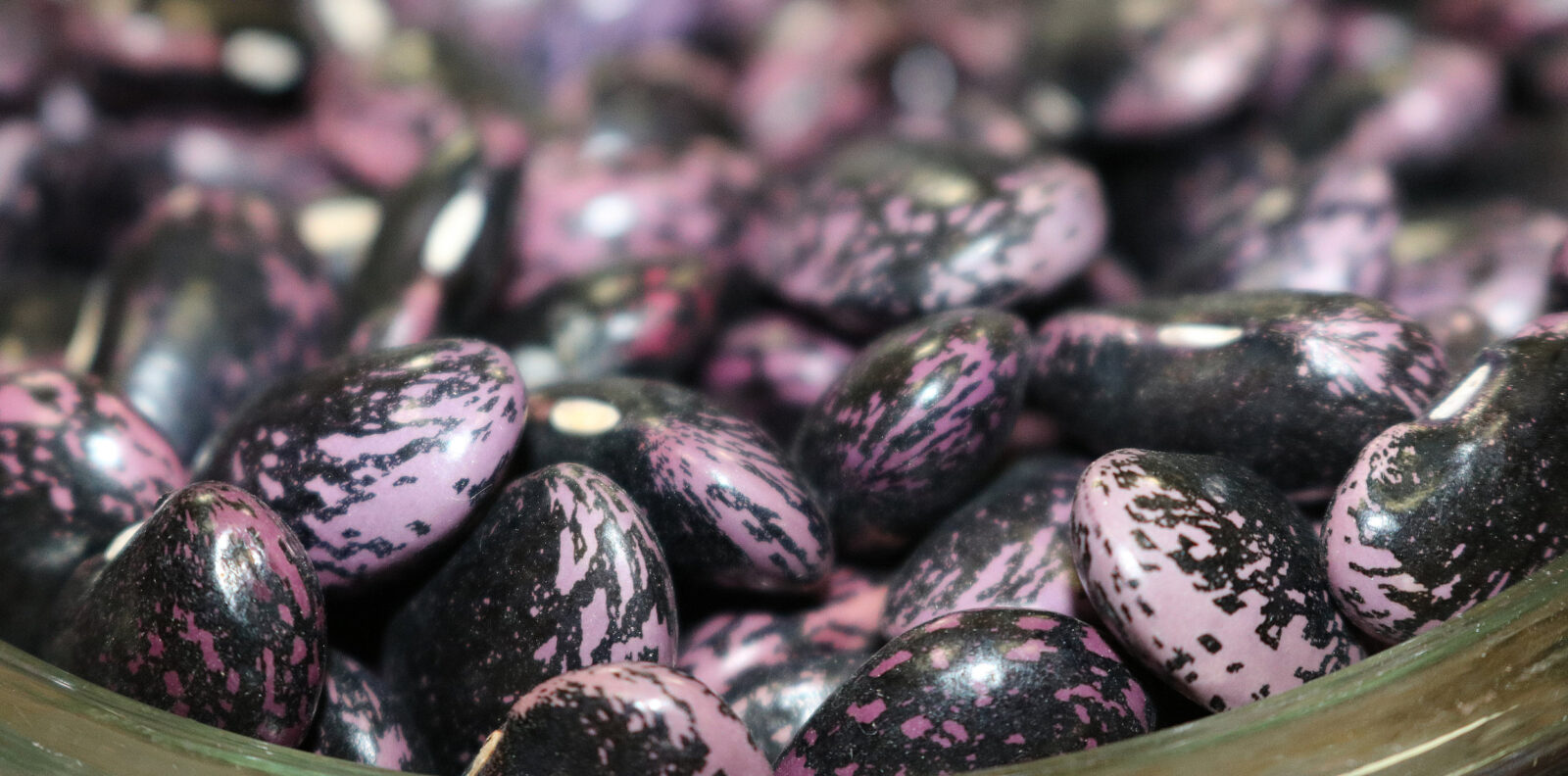 A close up of a pile of large, black and purple-dappled runner beans