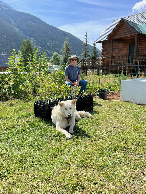 man with hat and white dog pose outside, with mountains in the background