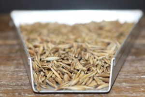 A small metal tray filled with oat seeds, resting on a wooden table