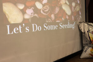 An image of a variety of bean seeds with the words "Let's Do Some Seeding!" projected on to a large screen with a bag of soil sitting on the floor in front of the screen