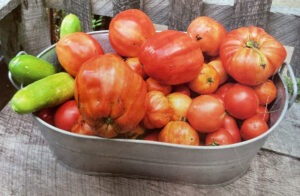 metal container overflowing with fresh produce, including big, red tomatoes