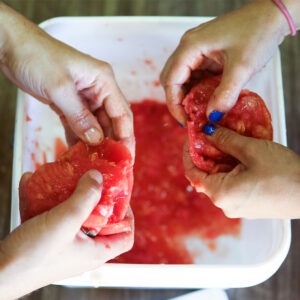 Two sets of hands squeeze tomatoes into a white bucket