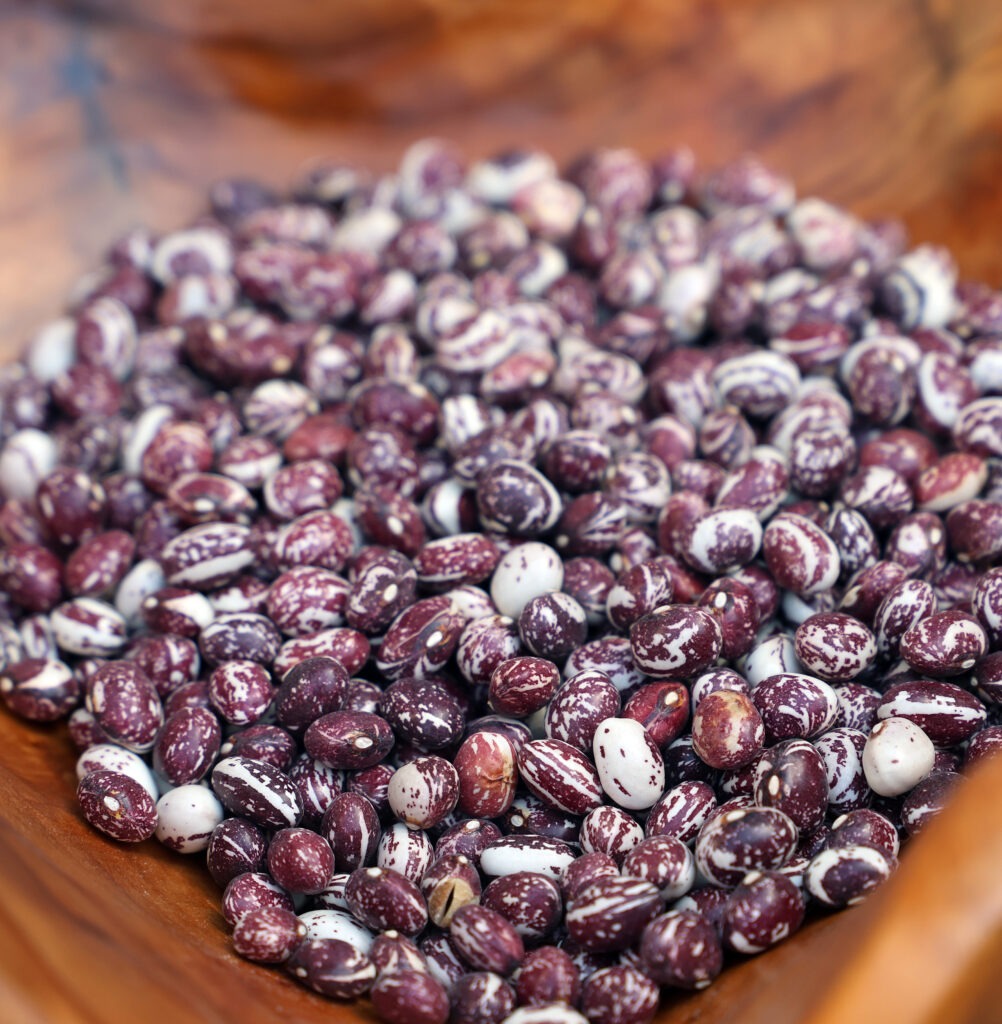 red-brown and white bean seeds in a wooden bowl