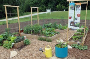 A small garden with four growing beds