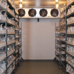 A small windowless room lined with shelves with many boxes of silver seed packets, with four fans hanging from the ceiling.