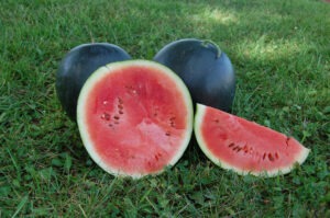 two whole and one cut red watermelon arranged on grass