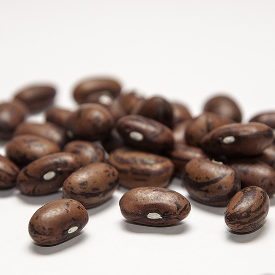 A cluster of rust-colored mottled beans