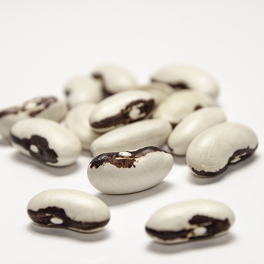 A cluster of large white beans with a reddish stripe across the beans' hilum sides