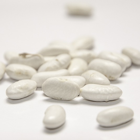 A group of white beans