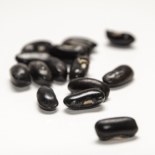 A cluster of oval shaped deep-brown beans