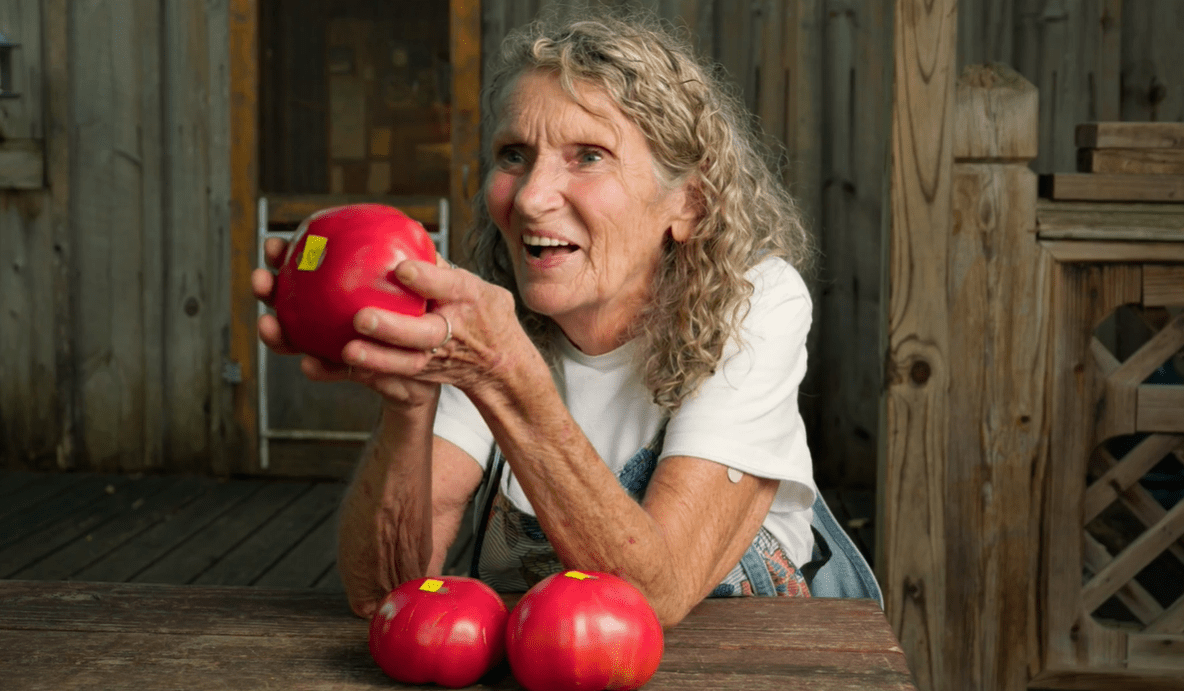 13_1 A woman smiles and holds up a large tomato, with two more tomatoes on a table in front of her