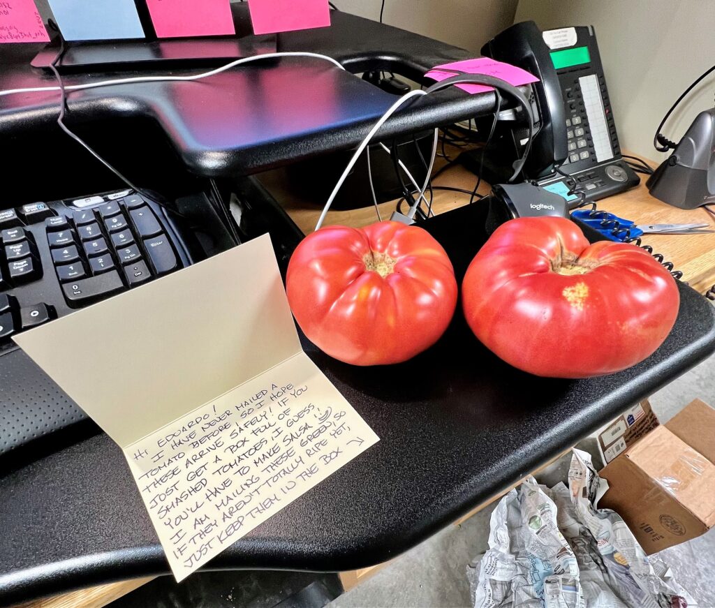 Two large 'Peg O' My Heart' tomatoes next to a handwritten note on a desk