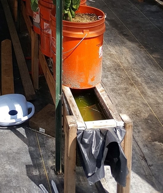 A wood frame containing a trough with large orange bucket sitting on top of it