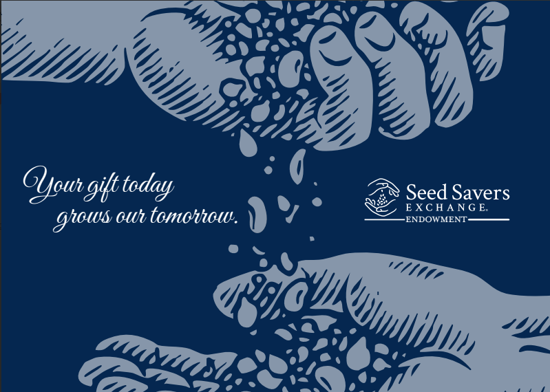 Drawing of hands sharing seeds. Text reads, 