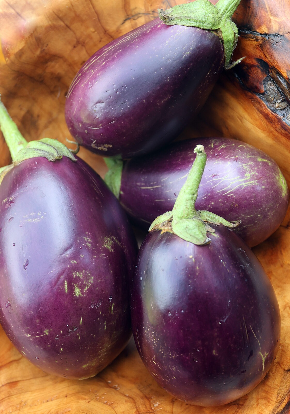 Four small purple 'Morden Midget' eggplant in a wooden bowl