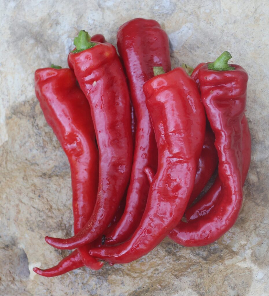 A group of six long red 'Lemme's Italian Sweet' pepper on a marble countertop