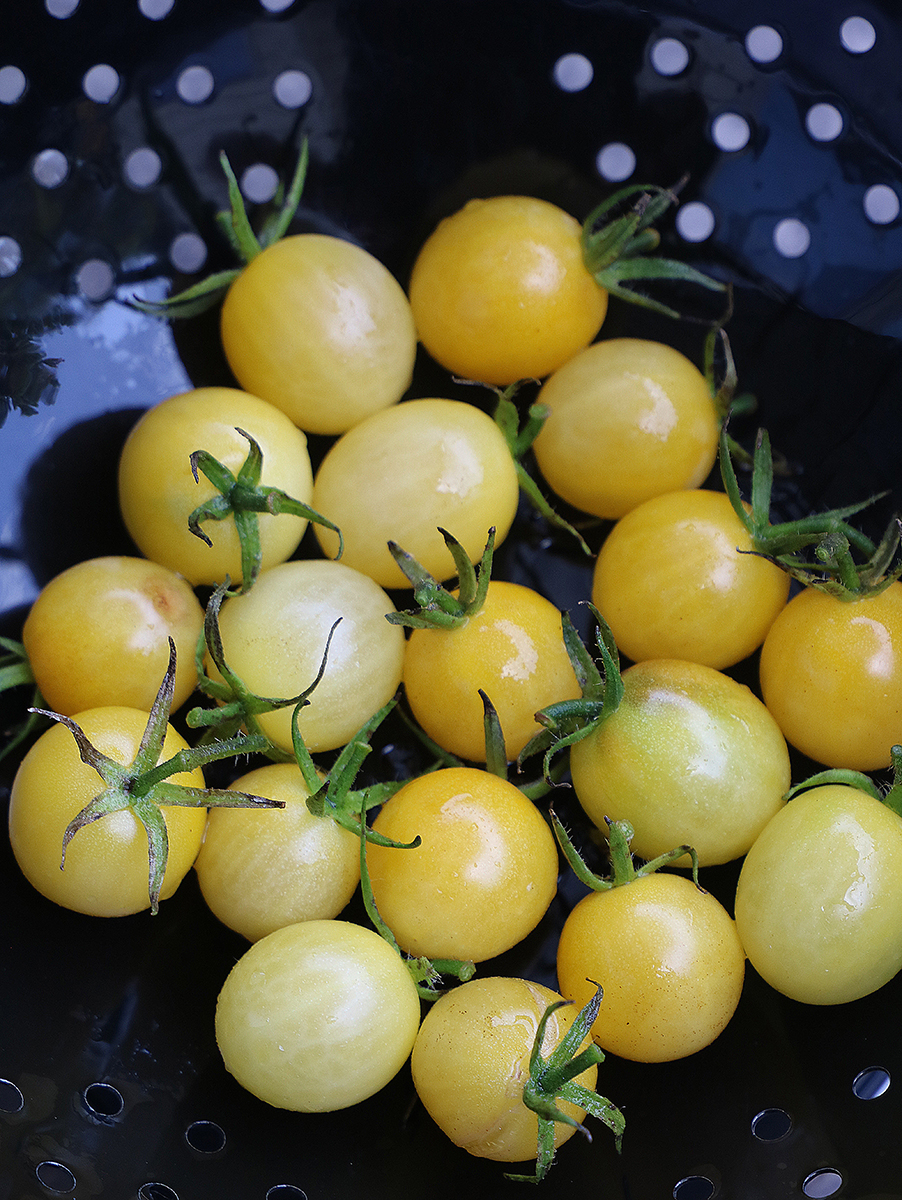 A group of small, round, yellow 'Lemon Drop' cherry tomatoes in a colander.