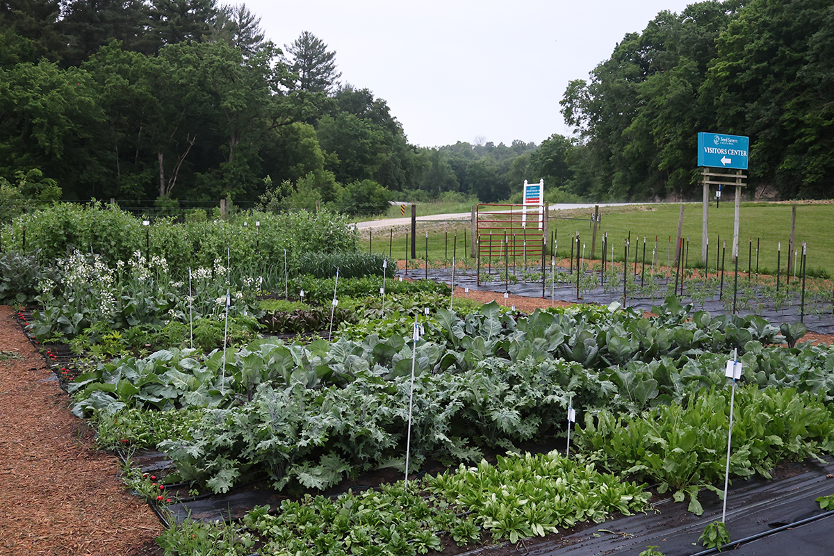 A large, lush garden full of various crops at Seed Savers Exchange's Heritage Farm
