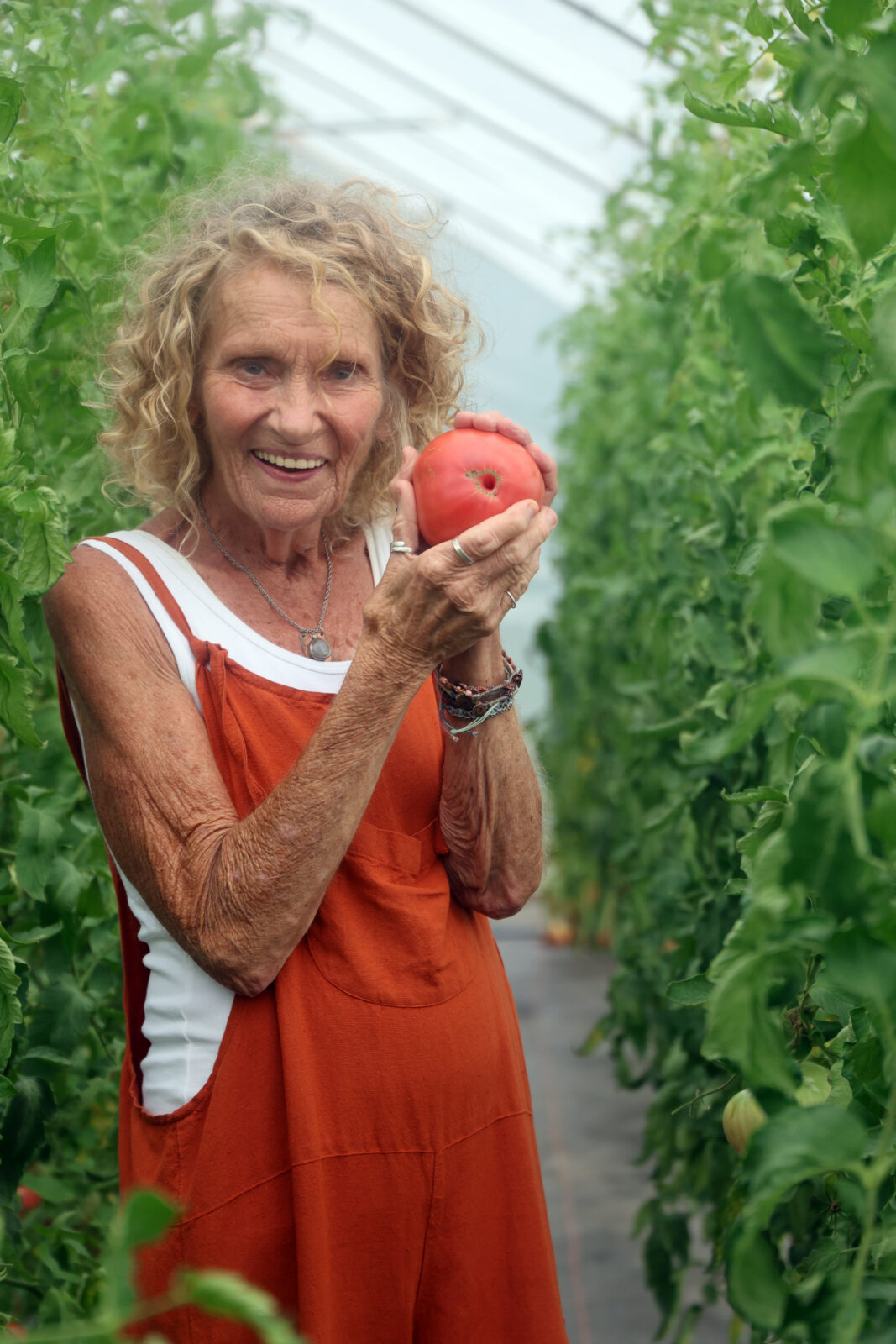 Peg Davis shows off a ‘Peg O’ My Heart’ tomato in a high tunnel filled with the variety at Heritage Farm.