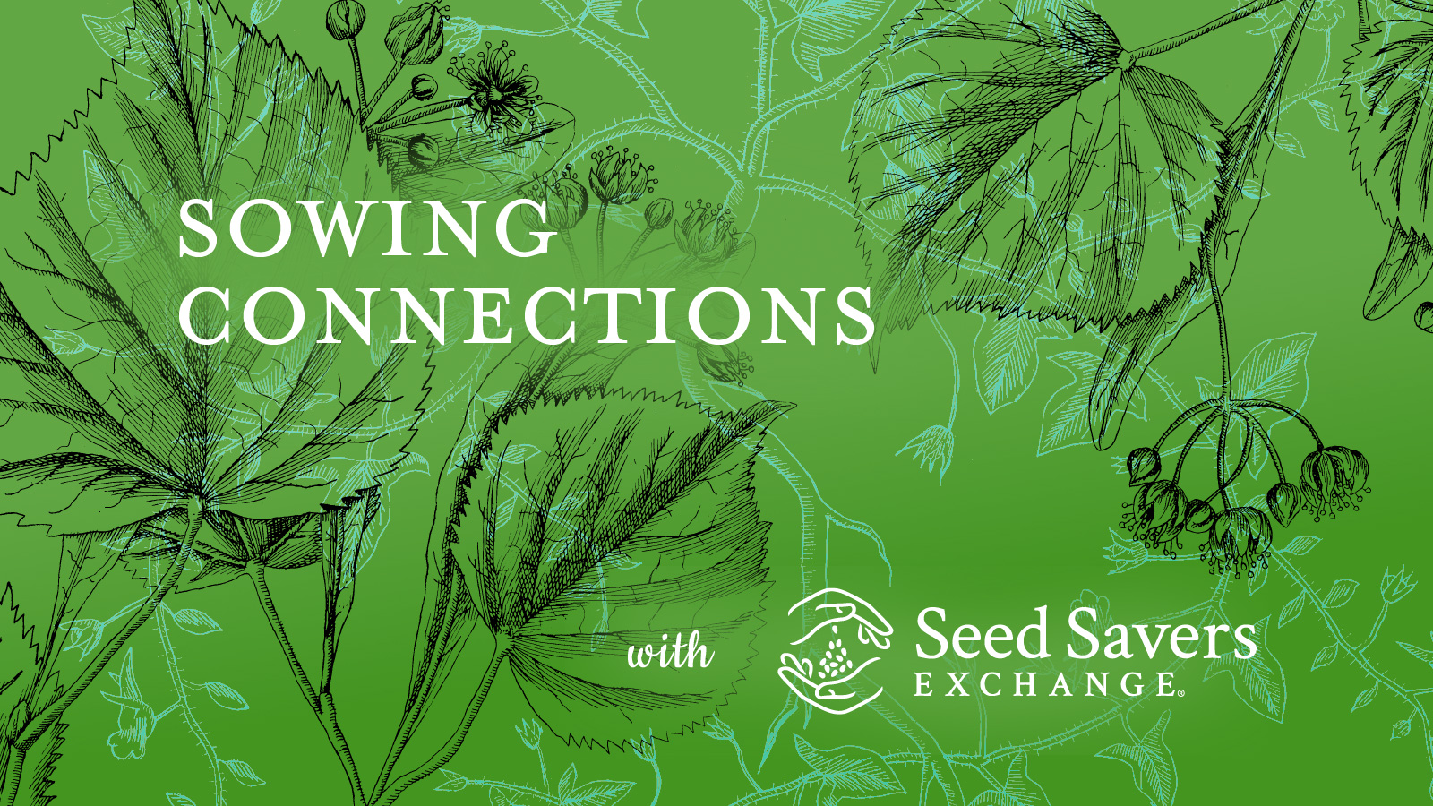 Sowing Connections with Seed Savers Exchange