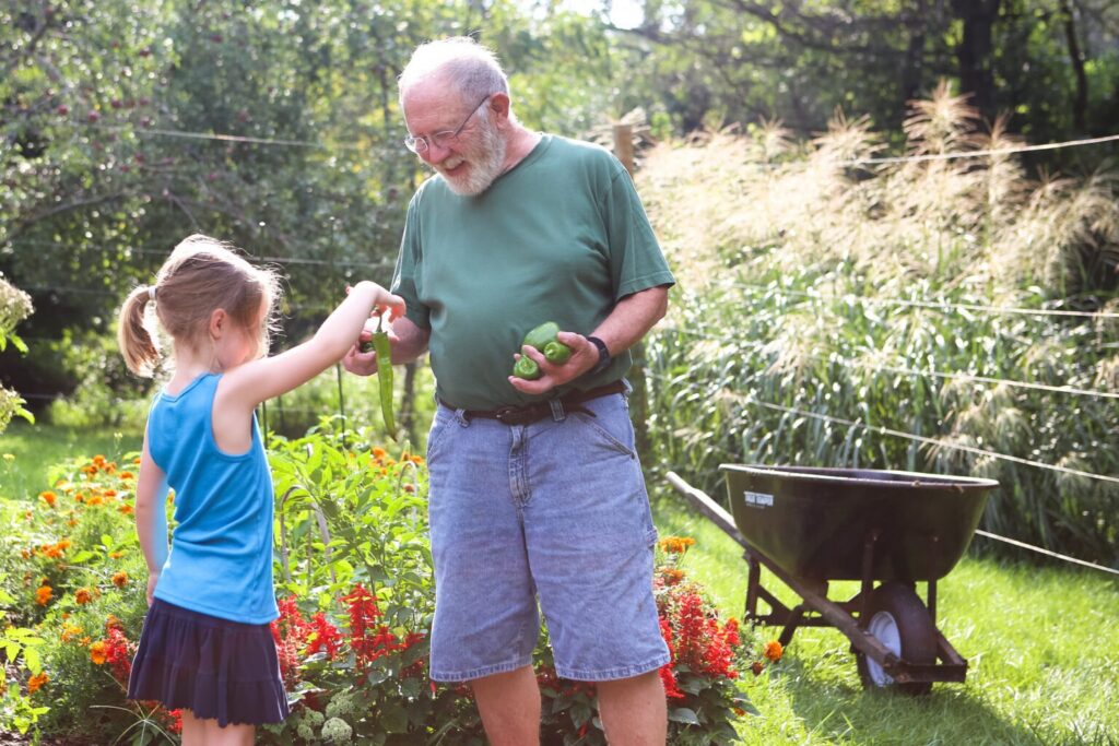 An older adult and a child gardening together.